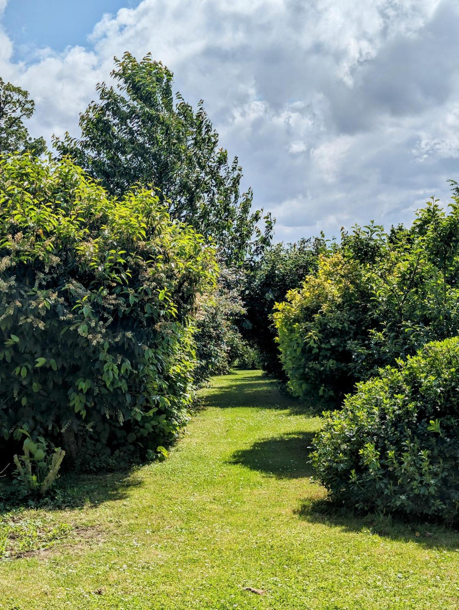 Le Relais Du Beffroi & Spa Saint-Riquier Exteriér fotografie